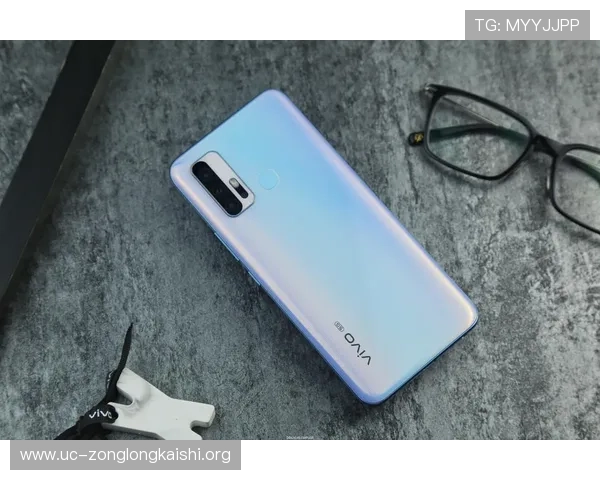 Z6尊龙备用网址如何保障玩家资金安全，平台的安全措施和隐私保护政策解析